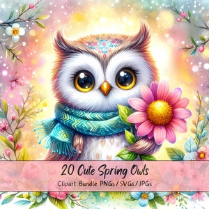 Imágenes prediseñadas de búhos de primavera lindos, imágenes de animales de acuarela, paquete de alta calidad, gráficos divertidos de descarga digital, 20 archivos de arte digital