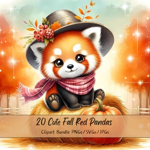 Schattige herfst rode Panda's clipart bundel, aquarel Panda clip art afbeeldingen, hoge kwaliteit dierenbestanden, leuke digitale dierendownload, herfst