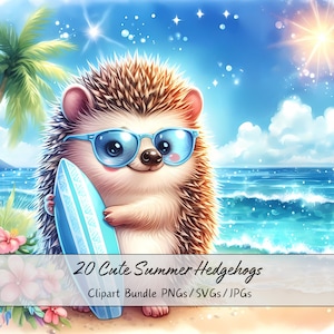 Lindo paquete de imágenes prediseñadas de erizos de verano, imágenes prediseñadas de erizos de acuarela, archivos de animales de alta calidad, divertidos gráficos de animales digitales, descargar