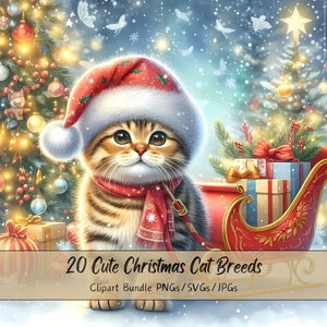 Leuke kerst kattenrassen clipartbundel, xmas kattenras Clip Art-afbeeldingen, aquarel dierenbestanden van hoge kwaliteit, feestelijke dierenafbeeldingen