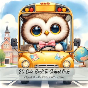 Niedliches Eulen-Clipart-Bundle für den Schulanfang, Aquarell-Eulen-ClipArt-Bilder, hochwertige Tierdatei, digitale Lehrer-Tiergrafiken, einzigartig