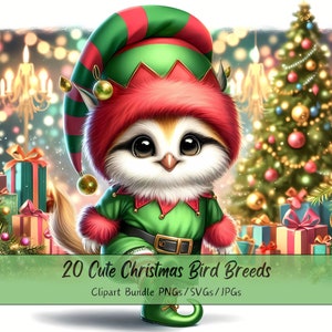 Lindo paquete de imágenes prediseñadas de razas de aves navideñas, imágenes prediseñadas de razas de aves navideñas, archivos de animales de acuarela de alta calidad, gráficos de animales festivos