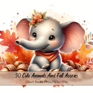 Animales lindos y bellotas de otoño, paquete de imágenes prediseñadas, imágenes prediseñadas de animales de acuarela, bellotas de alta calidad, gráficos de descarga digital de otoño, archivos