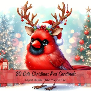 Lindo paquete de imágenes prediseñadas de cardenales rojos navideños, imágenes prediseñadas de cardenales navideños, animales de acuarela de alta calidad, gráficos de animales festivos, invierno