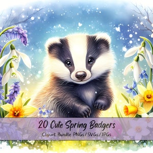 Süßes Frühlings-Dachs-Clipart-Bundle, Aquarell-ClipArt-Bilder, hochwertige Dachs-Dateien, lustige digitale Tiergrafiken, einzigartiger Download