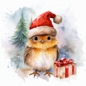 12 lindos Robins de Natal em aquarela, pacote de clipart de Natal, 12 Baby Robins, papel digital, Junk Journal, uso comercial, PNGs/SVGs/JPGs