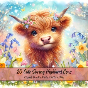 Linda primavera Highland Cow Clipart, divertidas imágenes de animales de acuarela, paquete de alta calidad, gráficos de descarga digital, 20 archivos de arte digital