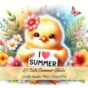 Lindo paquete de imágenes prediseñadas de pollitos de verano, imágenes prediseñadas de pollitos de acuarela, archivos de animales de alta calidad, gráficos de animales digitales, descarga única