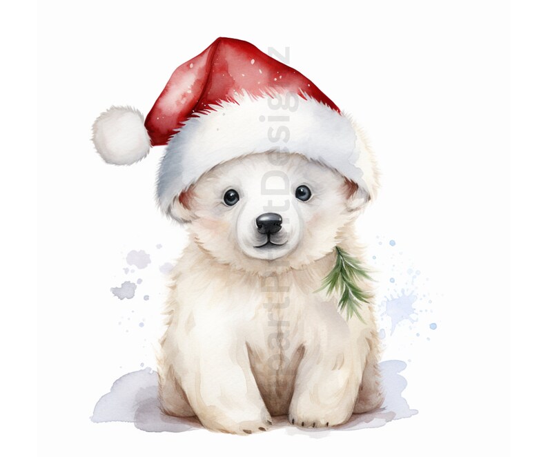 May include: A watercolor painting of a white polar bear cub wearing a red Santa hat with a white pom-pom. The bear is holding a small pine branch in its mouth and is sitting on a white background with blue watercolor splatters.