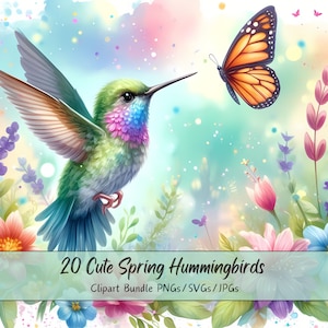 Süßes Frühlingskolibris-Clipart-Bundle, Aquarell-ClipArt-Bilder, hochwertige Dateien, lustige digitale Tiergrafiken, einzigartiger Download