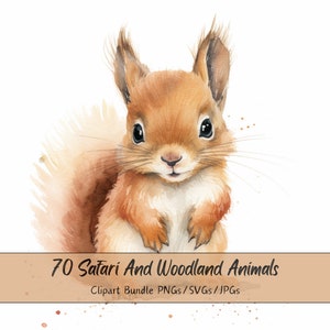 Mega Safari And Woodland Animals, 70 Watercolor Pngs, 35 Woodland Animals, 35 Safari Animals, 300 dpi PNGs/JPGs/SVGs, Mega Clipart Bundle