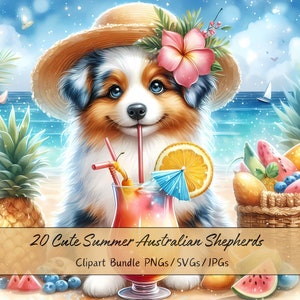 Bundle de cliparts mignon été bergers australiens, aquarelle chien Clip Art Images, fichiers animaux de haute qualité, téléchargement numérique de chiens animaux