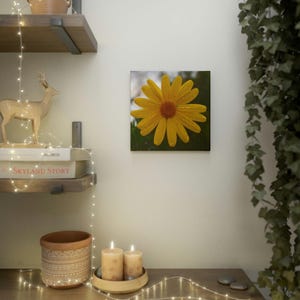 Canvas Photo Tile, Yellow Daisy Close Up, Wall Art, Home Decor, Gift for Floral Lovers, Botanical Photo Print, Custom Photo Tile
