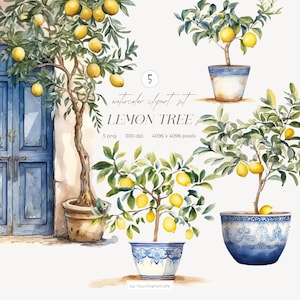 Aquarel citroenboom clipart: citrusplant in mozaïekpot, mediterraan blauwe deur (digitale download)