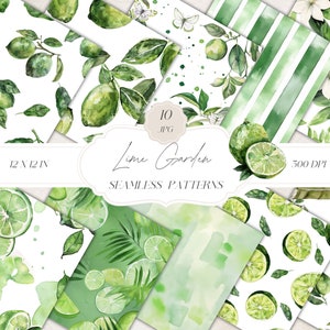 Motivi senza soluzione di continuità con lime ad acquerello, motivo di agrumi estivi, carta digitale con lime, motivo di fiori di tiglio, clipart per carte, tessuti