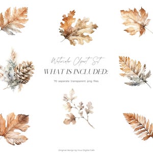 Watercolor Fall Leaves Clipart: Autumn Leaf PNG Bundle (Digital Download) image 6