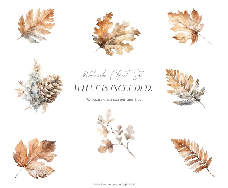 Watercolor Fall Leaves Clipart: Autumn Leaf PNG Bundle (Digital Download) image 6