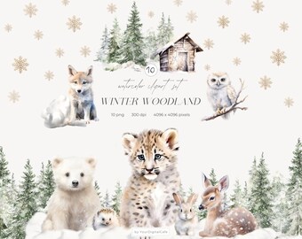 Watercolor Winter Woodland Clipart: Nursery Animal Clip Art, Forest Animals PNG, Baby Shower (Digital Download)
