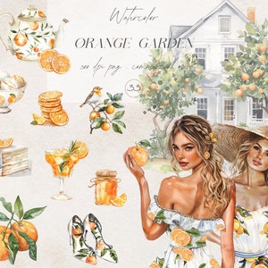 Bundle de cliparts oranges aquarelle, Art agrumes, Clipart été, Clipart décoration Orange, Cocktails Orange PNG, Clipart autocollants