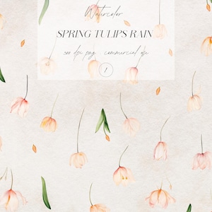 Aquarell Blumenhintergrund, Frühlingsblumen PNG, fallende Tulpen Kulisse, Frühling Clipart, Hochzeit Clipart, digitaler Download, kommerzielle Nutzung