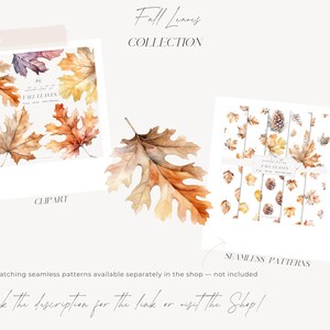 Watercolor Fall Leaves Clipart: Autumn Leaf PNG Bundle (Digital Download) image 11