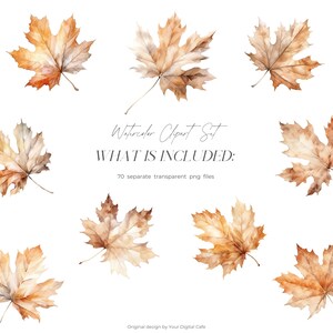 Watercolor Fall Leaves Clipart: Autumn Leaf PNG Bundle (Digital Download) image 7