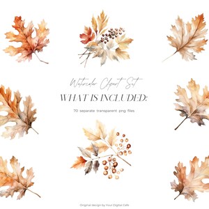 Watercolor Fall Leaves Clipart: Autumn Leaf PNG Bundle (Digital Download) image 2