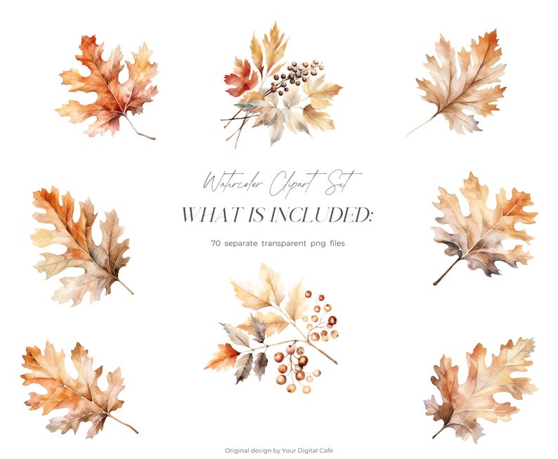 Watercolor Fall Leaves Clipart: Autumn Leaf PNG Bundle (Digital Download) image 2