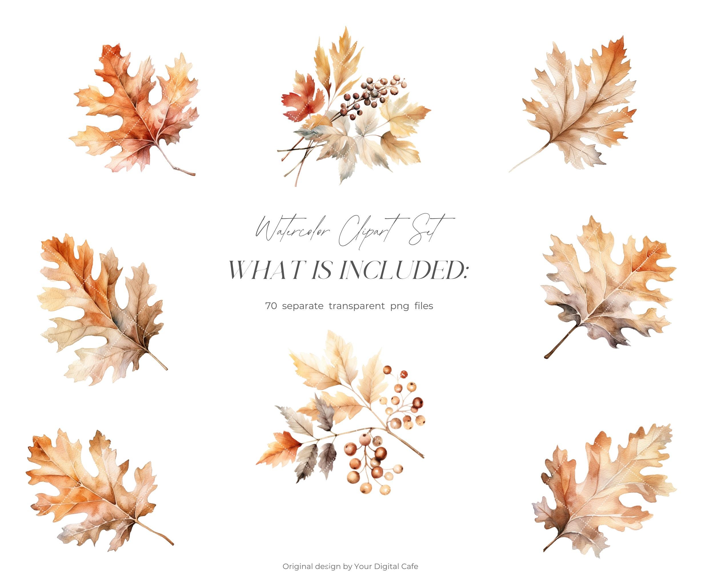 Watercolor Fall Leaves Clipart: Autumn Leaf PNG Bundle (digital ...