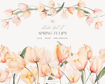Clipart de Tulipas da Primavera em Aquarela: Buquês e Bordas Prontos, Flores da Primavera, Clipart para Casamento, PNG Floral (Download Digital)