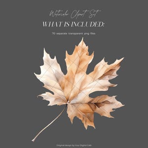 Watercolor Fall Leaves Clipart: Autumn Leaf PNG Bundle (Digital Download) image 10