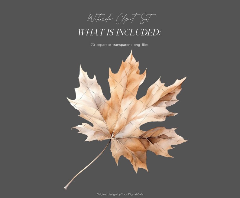 Watercolor Fall Leaves Clipart: Autumn Leaf PNG Bundle (Digital Download) image 10
