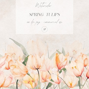 Pacchetto di clipart con bordi floreali acquerellati, clipart di fiori primaverili, bouquet di tulipani primaverili acquerellati, clipart di matrimonio in formato PNG, download digitale