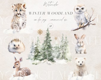 Woodland Animals Clipart - Woodland Watercolor - Winter Animals Clipart - Watercolor Animals Clipart - Animals Clipart - Winter Animals PNG