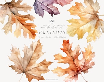 Watercolor Fall Leaves Clipart: Autumn Leaf PNG Bundle (Digital Download)