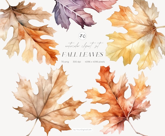 Watercolor Fall Leaves Clipart: Autumn Leaf PNG Bundle (Digital Download)