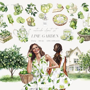 Watercolor Lime Garden Clipart: Summer Citrus Fruit, Scrabook, Junkjournal, Stickers Clip Art (Digital Download)