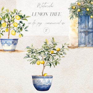 Mediterranean Watercolor Clipart, Lemon Tree Clipart, Watercolor Clipart, Lemon Graphics, Mediterranean Lemon Tree Illustration, Lemon PNG