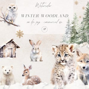 Winter bosdieren clipart, aquarel winter clipart, boskerst clipart, kinderkamer clipart, winter babydieren, commercieel gebruik