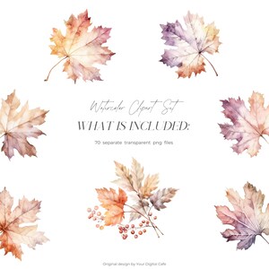 Watercolor Fall Leaves Clipart: Autumn Leaf PNG Bundle (Digital Download) image 3