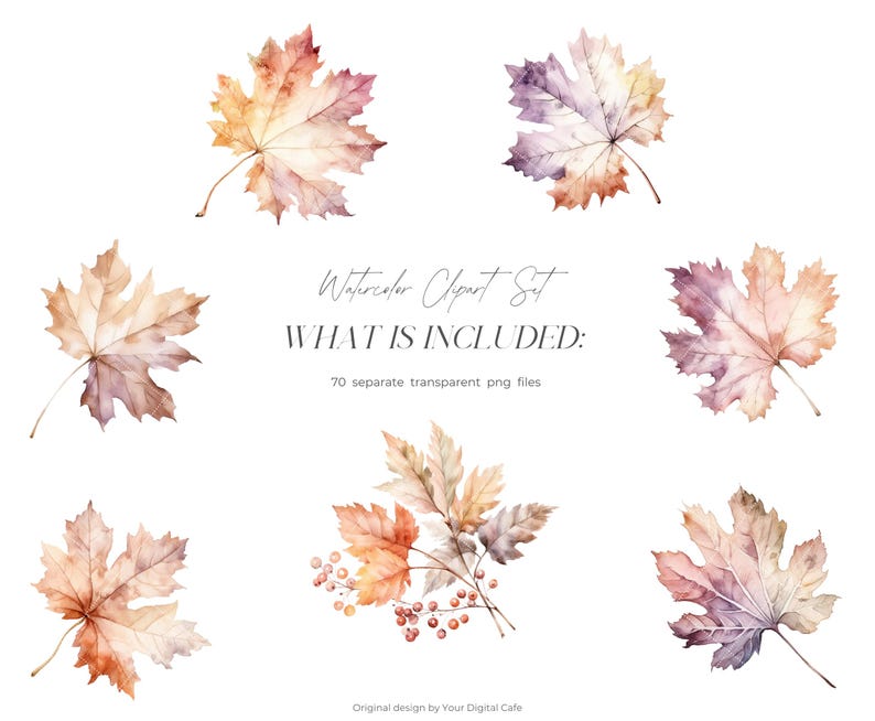 Watercolor Fall Leaves Clipart: Autumn Leaf PNG Bundle (Digital Download) image 3