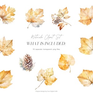 Watercolor Fall Leaves Clipart: Autumn Leaf PNG Bundle (Digital Download) image 4