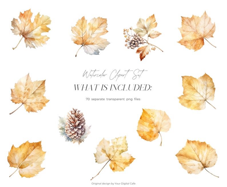 Watercolor Fall Leaves Clipart: Autumn Leaf PNG Bundle (Digital Download) image 4