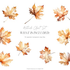 Watercolor Fall Leaves Clipart: Autumn Leaf PNG Bundle (Digital Download) image 5
