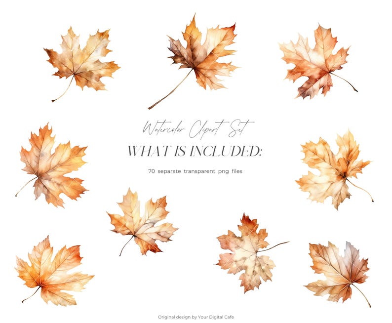Watercolor Fall Leaves Clipart: Autumn Leaf PNG Bundle (Digital Download) image 5