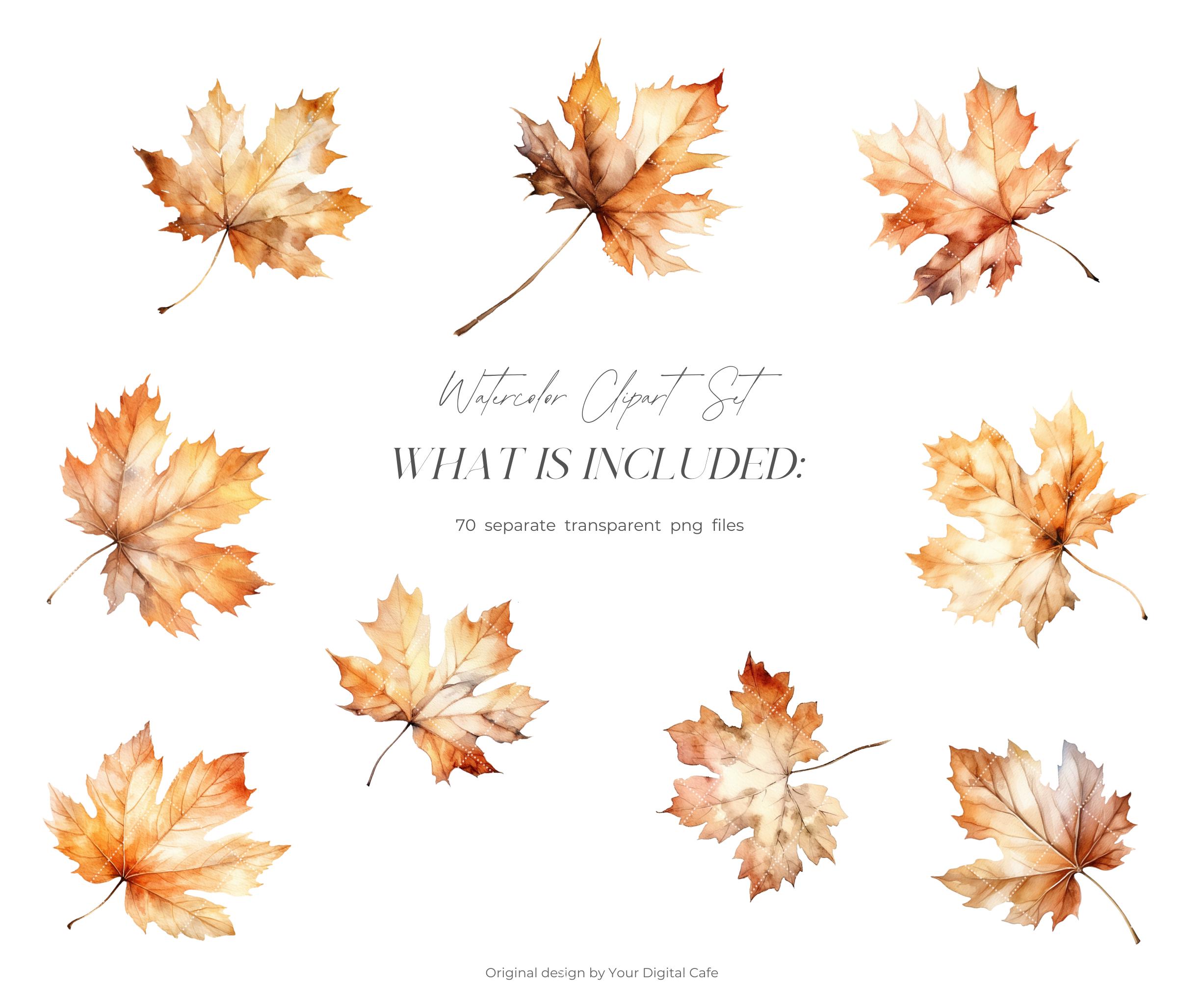 Watercolor Fall Leaves Clipart: Autumn Leaf PNG Bundle (digital ...