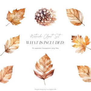 Watercolor Fall Leaves Clipart: Autumn Leaf PNG Bundle (Digital Download) image 9