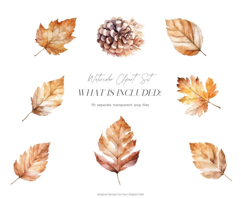 Watercolor Fall Leaves Clipart: Autumn Leaf PNG Bundle (Digital Download) image 9