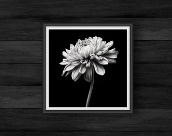 Black and White  Printable Chrysanthemum Wall Art, Floral Art, 300DPI, Instant Download