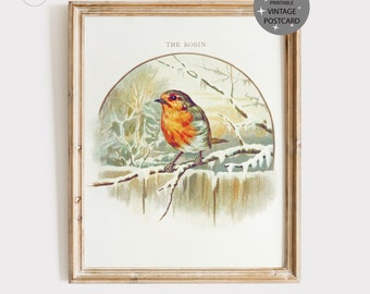 Robin Wall Art, Vintage Art Prints, Vintage Christmas Prints, Robin Print, Red Robin Art, Antique Wall Art, PRINTABLE WALL ART